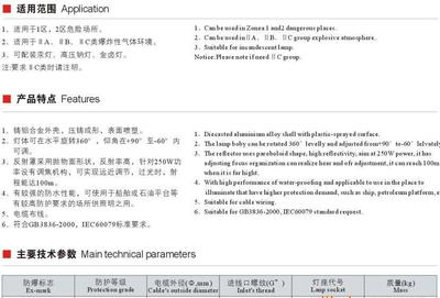 【遼寧直銷250W戶外防爆投光燈】價格_廠家_圖片 -